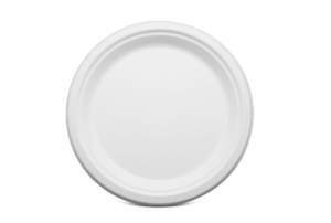 10" Plate