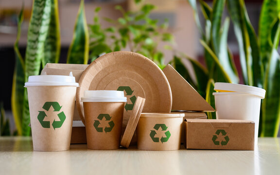 Eco-Friendly Food Containers 