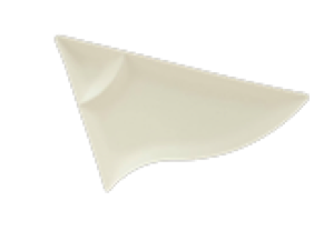 Appetizer Dish