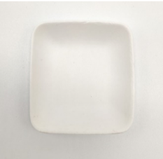 Appetizer Dish 5'