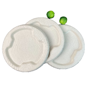 BAGASSE BOWLS 500ml Bowl Lid