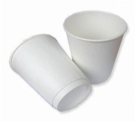 16oz White Double Wall Paper Cups