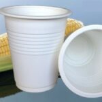 CORNSTARCH DRINKING CUPS 250ml (8oz)