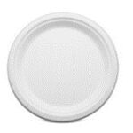 8" Plate