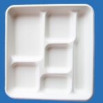 Bagasse 6 Compartment Square Tray 266.7*266.7*27.1mm