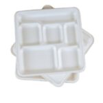 Bagasse 6 Compartment Tray 318.9*218.9*27.6mm