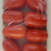 Bagasse Trays SP-1004D - Image 2
