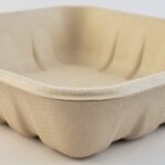 Bagasse Trays SP-1014D