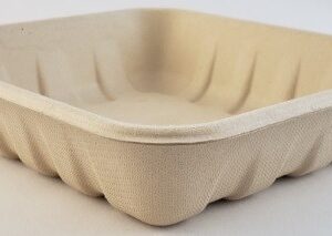 Bagasse Trays SP-1014D