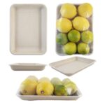 Bagasse Trays SP-1002D