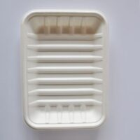 Bagasse Trays SP-01 - Image 2