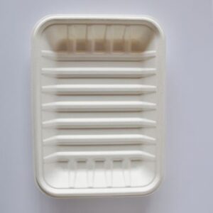Bagasse Trays SP-01