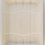Bagasse Trays SP-1004D-1