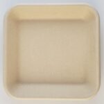 Bagasse Trays SP-1014S