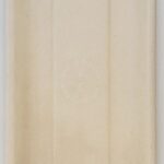 Bagasse Trays SP-1017S