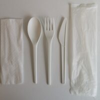 6.5” Light Weight CPLA cutlery kit - Image 2