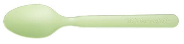 7" CPLA Spoon, with OPP bag
